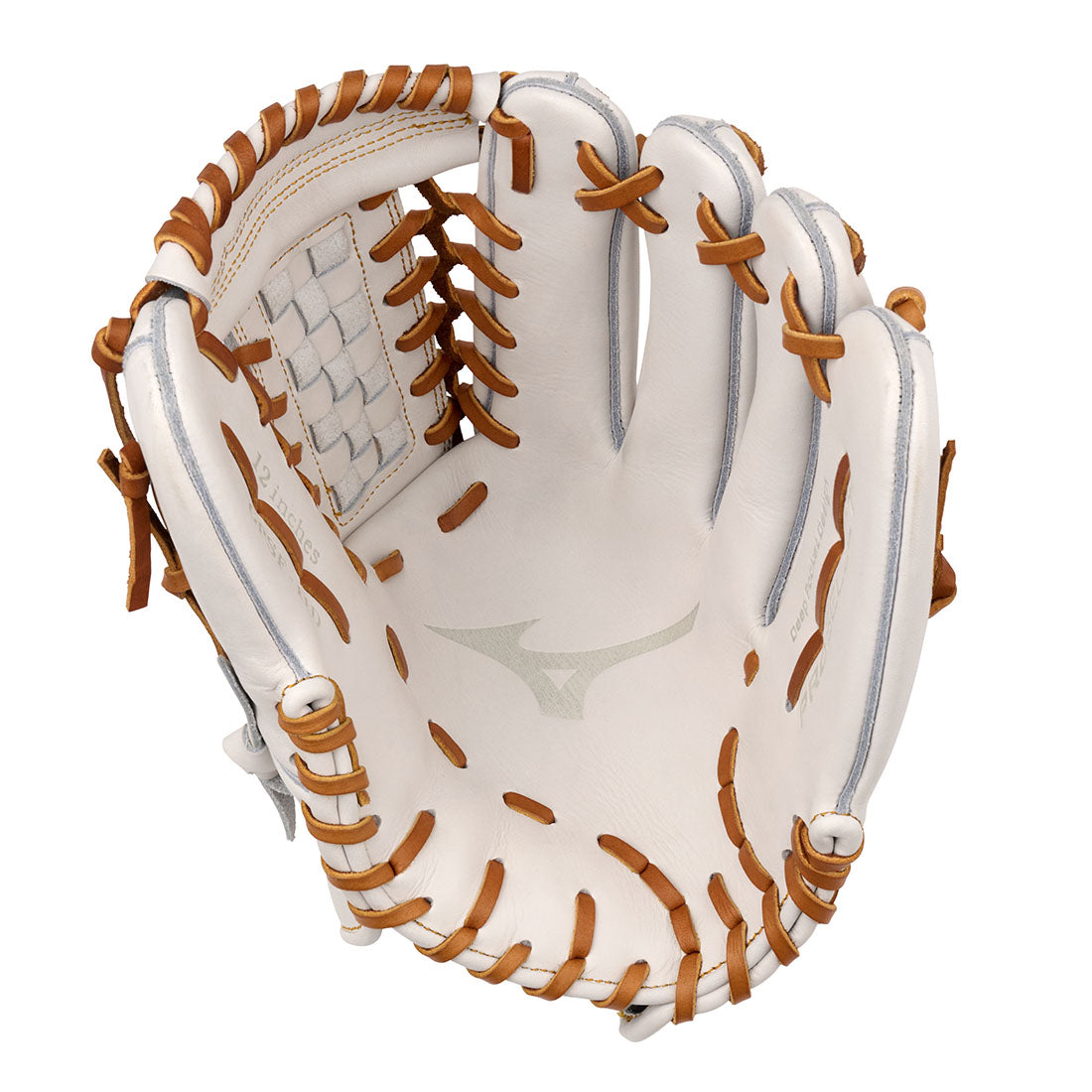 Mizuno Pro Select FP Tartan 4 Web fastpitch softball glove