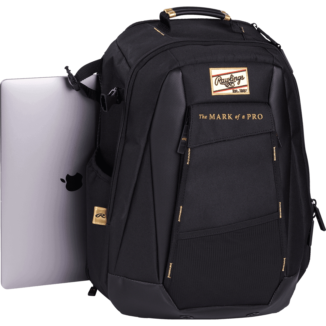 Rawlings Gold Collection Utility Backpack: GCUBKPK